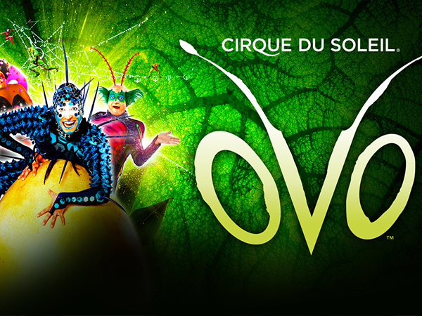 Cirque du Soleil