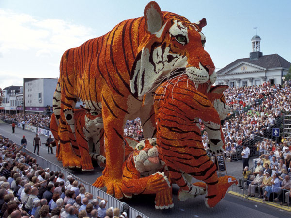 Dutch Dahlia Parade - Zundert