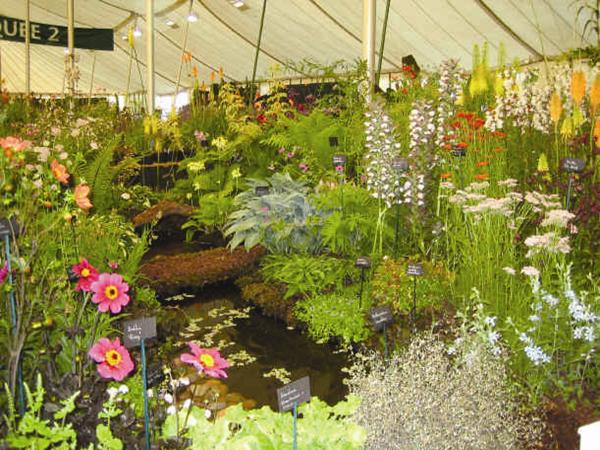 Hampton Court Palace Garden Festival