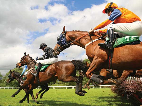 Cheltenham Races - Coach Only