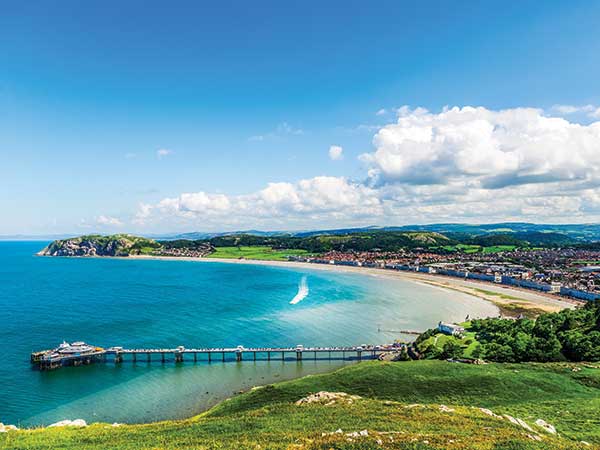 Llandudno Turkey & Tinsel