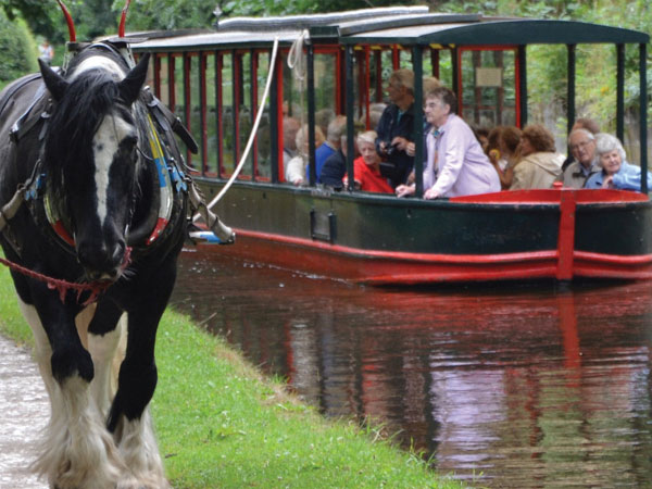 Llangollen Canal Cruise