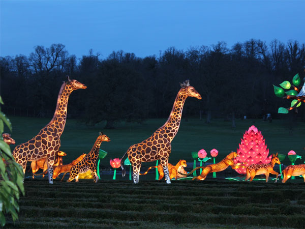 Longleat Festival of Light & Bath