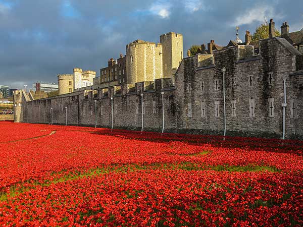 Poppies at the Tower of London