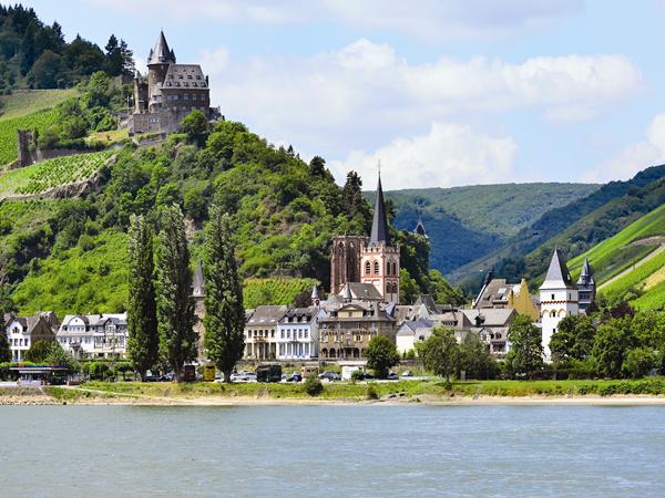 Rhine & Cologne Summertime Specials