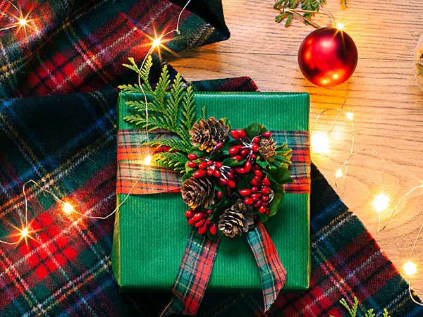 Christmas in the Highlands