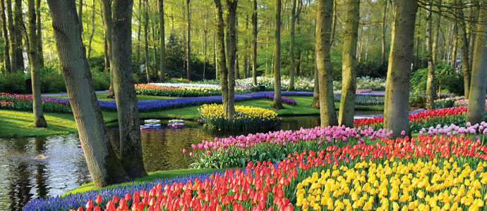 Keukenhof