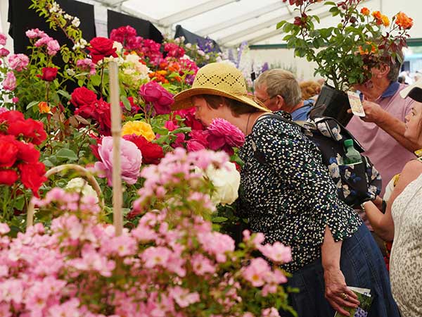 Blenheim Palace Flower Show
