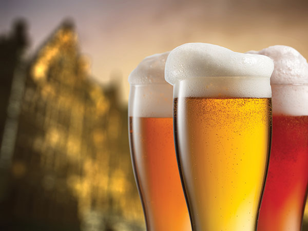 Bruges Beer Festival with visit to Adinkerke