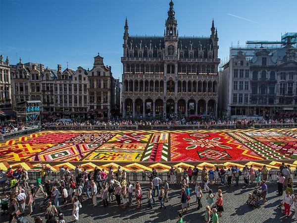 Brussels Flower Carpet