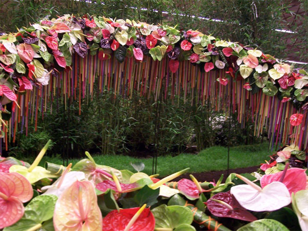 Floralies of Mediaeval Ghent
