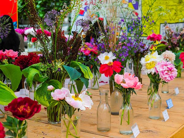 Shrewsbury Flower Show