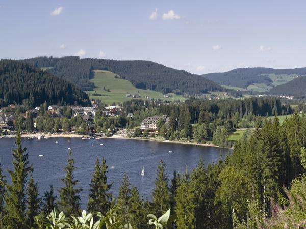 Rhine Valley & Black Forest