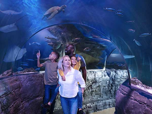 Sea Life Aquarium London