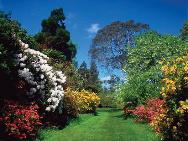Mount Usher Gardens