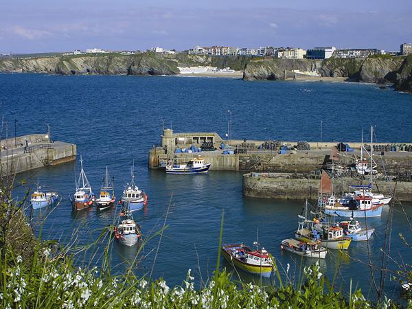 Newquay & St Ives Turkey & Tinsel Special