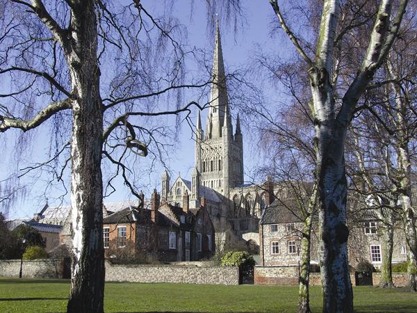 Norwich