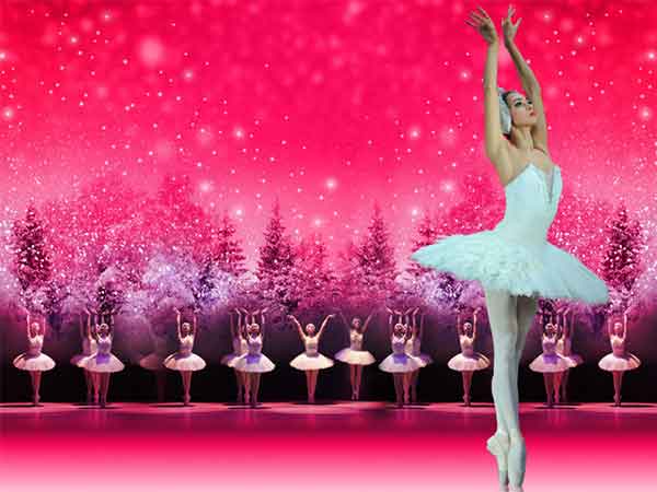 The Russian State Ballet