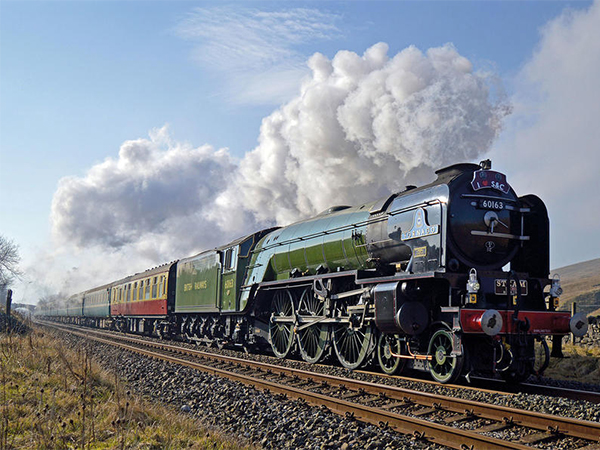 Tornado