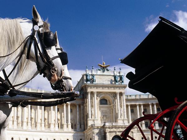 Vienna - with Special Inclusions - travelling by First Class Coach